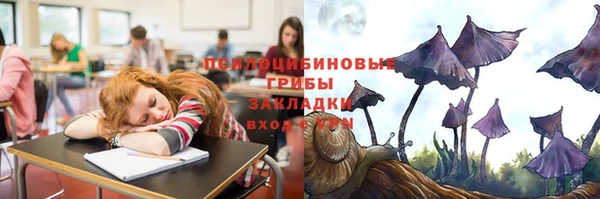 МДПВ Богданович