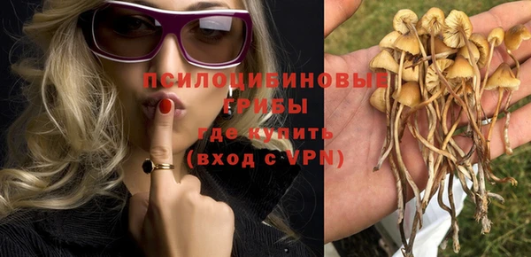 ешки Богородск