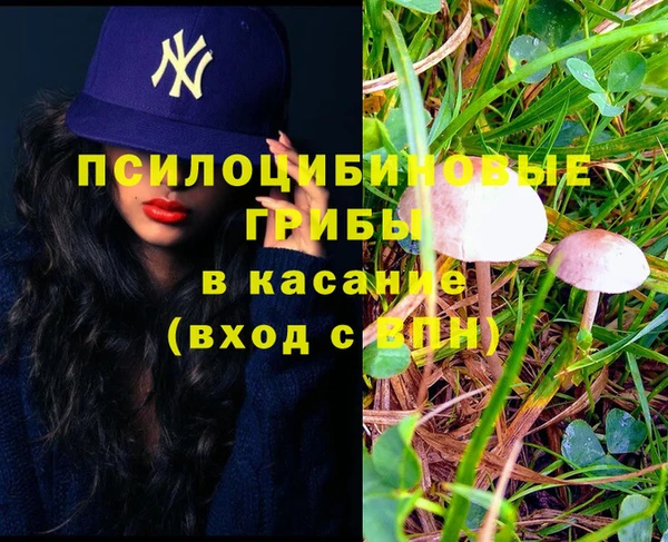 ALPHA PVP Богородицк