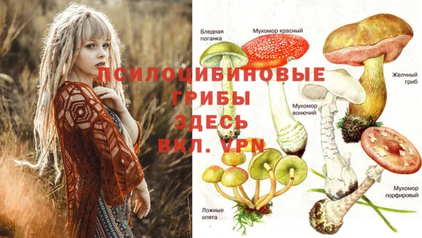 МДПВ Богданович