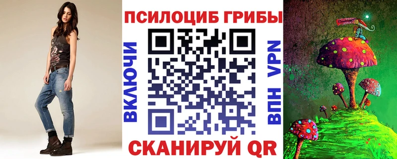 Купить где  Чайковский  Псилоцибиновые грибы Psilocybine cubensis 